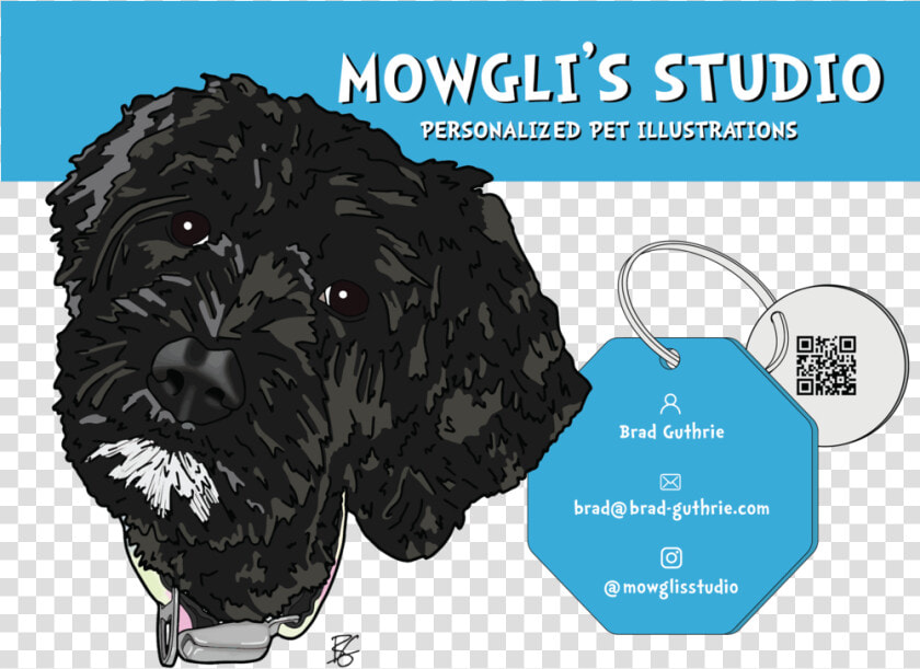 Promotional Flyer   Labradoodle  HD Png DownloadTransparent PNG