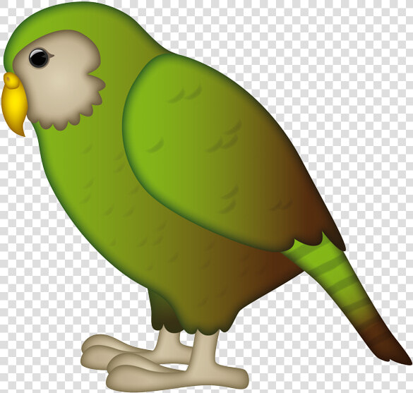 Budgie  HD Png DownloadTransparent PNG