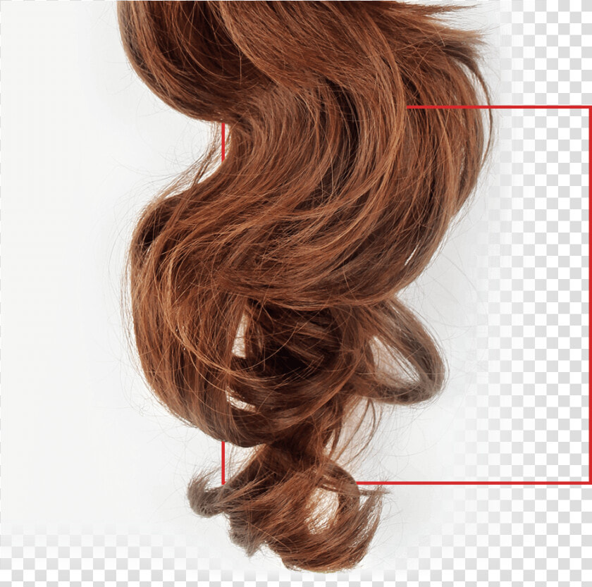 Peluca   Lace Wig  HD Png DownloadTransparent PNG