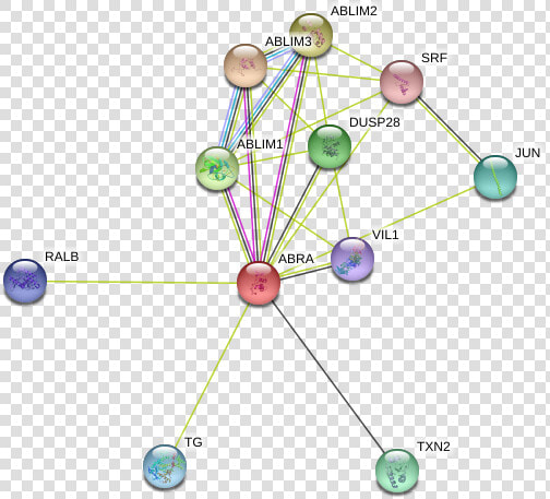 Abra Protein   Circle  HD Png DownloadTransparent PNG