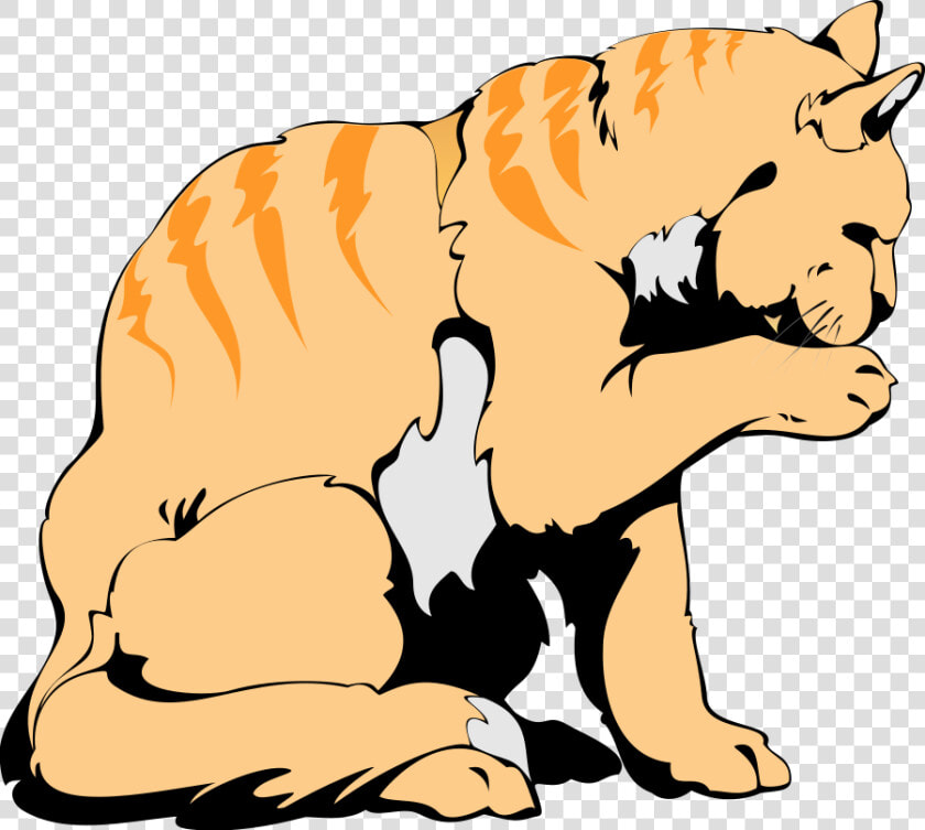 Orange Cat Art Design Svg Clip Arts   Cat  HD Png DownloadTransparent PNG