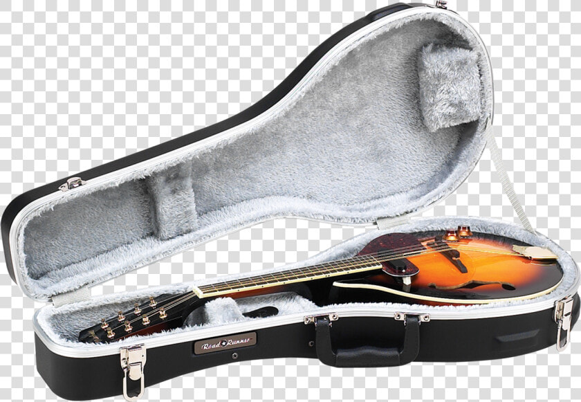 Abs Molded Mandolin Case Road Runner Rrmama   Viola  HD Png DownloadTransparent PNG