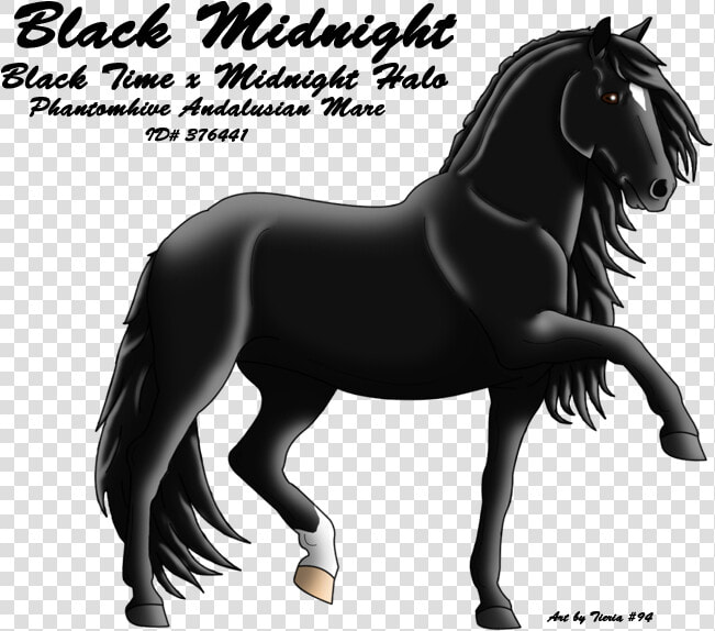 Stallion  HD Png DownloadTransparent PNG