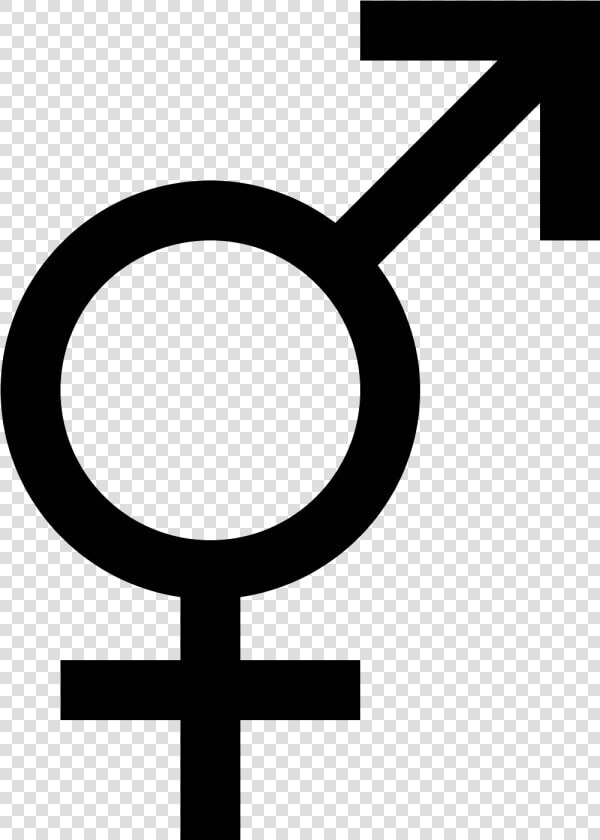 Transgender Gender Symbol Clip Art   Feminism Vs Masculism  HD Png DownloadTransparent PNG