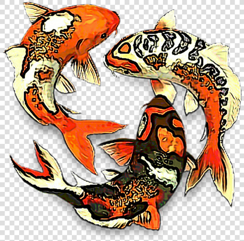 Koifish Aesthetic Koi Fish Fishes Fishbowl Water Fishes  HD Png DownloadTransparent PNG