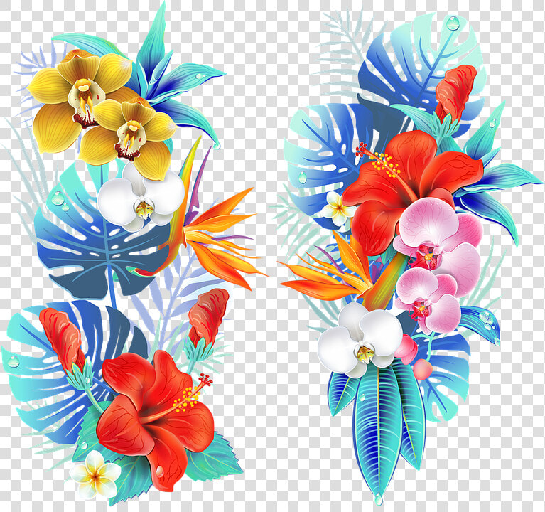 Tropical  Medellin  Flowers  Fair Of Flowers  Field   Tropical Flowers  HD Png DownloadTransparent PNG