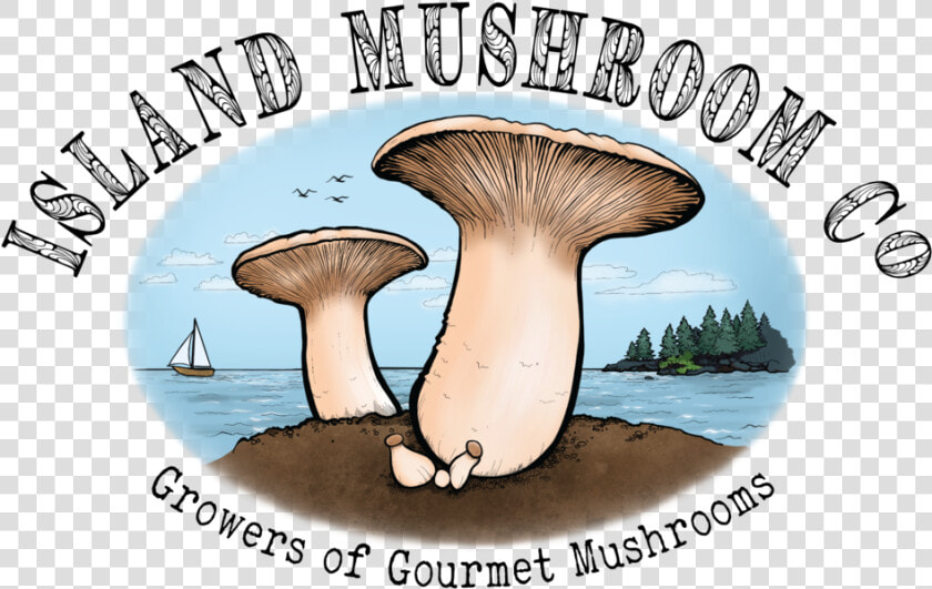 Website Logo   Mushrooms Company  HD Png DownloadTransparent PNG