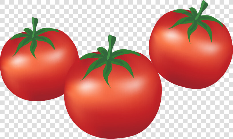 Clip Art Tomato Bush Vegetable Tomatoes   Imagen De Tomates Animado  HD Png DownloadTransparent PNG