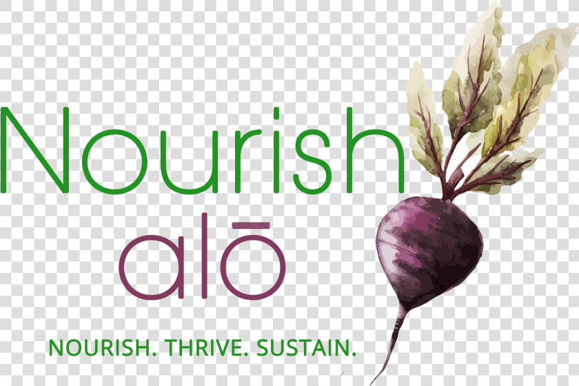 Nourish alō Holistic Nutrition   Root Vegetable  HD Png DownloadTransparent PNG