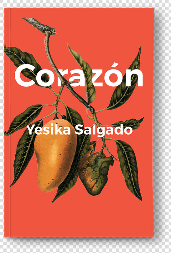 Yesika Salgado Books  HD Png DownloadTransparent PNG