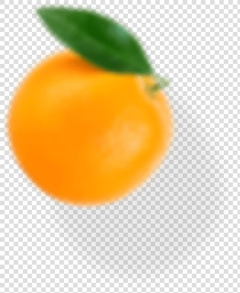 Bitter Orange  HD Png DownloadTransparent PNG