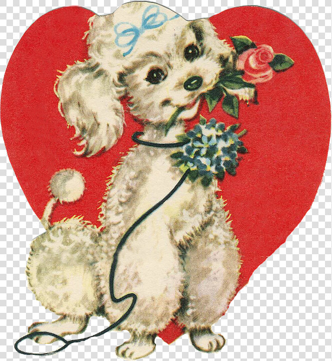 Love  Heart  Amorous  Dog  Puppy  Poodle  Rosa   Last Day Of February  HD Png DownloadTransparent PNG