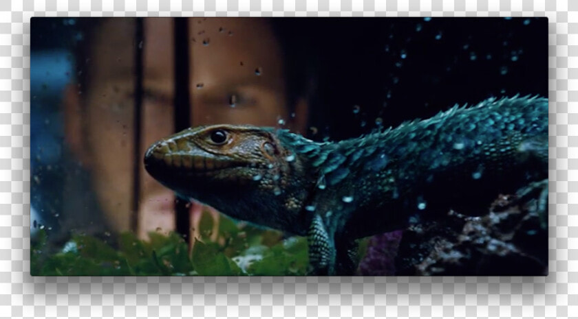 Jurassic World Nods To Feathered Dinosaursas A Professional   Jurassic World Feathered Lizard  HD Png DownloadTransparent PNG