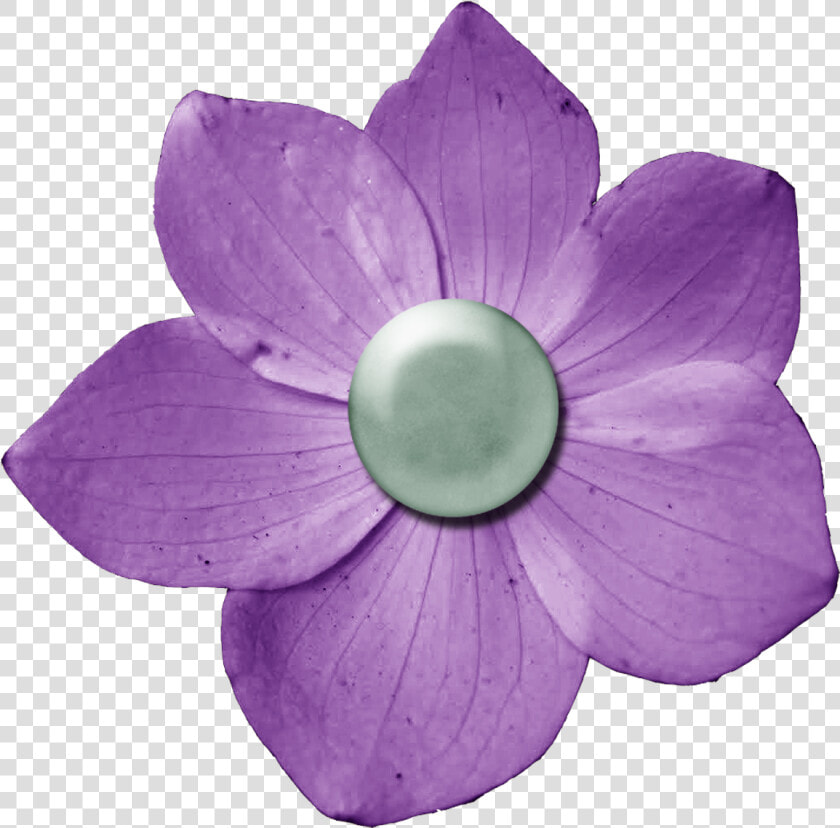 Dark Purple Flower   Maroon Scrapbook Png  Transparent PngTransparent PNG