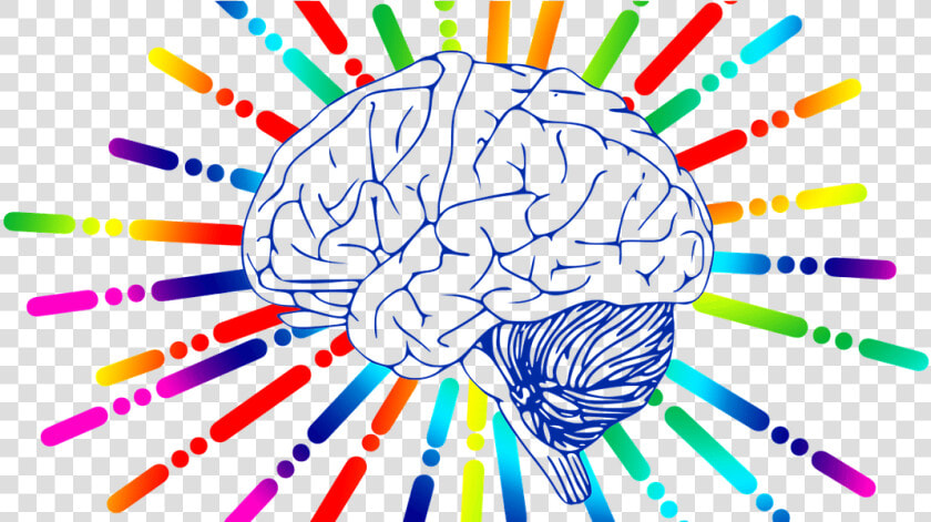 Brain Clip Art   Transparent Cartoons   Brain Clip Art  HD Png DownloadTransparent PNG