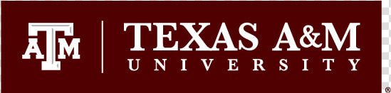 Tam Primary Mark A   Texas A amp m University At Qatar Logo  HD Png DownloadTransparent PNG