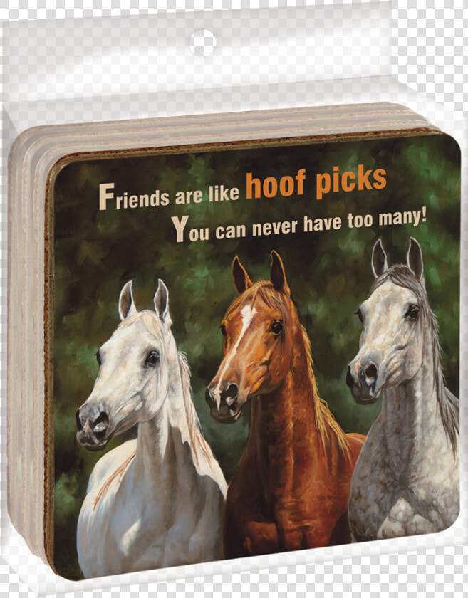 Ec04861 Hoof Picks Ecocoaster Set Title Ec04861 Hoof   Welcome With A Horse  HD Png DownloadTransparent PNG