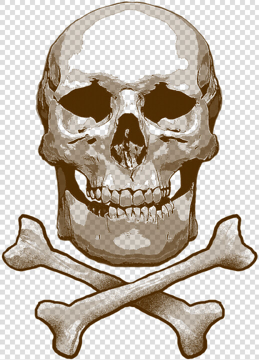 Skull And Cross Bones  Skull  Toxic  Bones  Skeleton   Skull  HD Png DownloadTransparent PNG