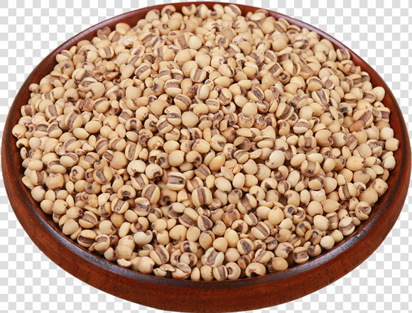 Cereal Tea Barley Rice   Cranberry Bean  HD Png DownloadTransparent PNG