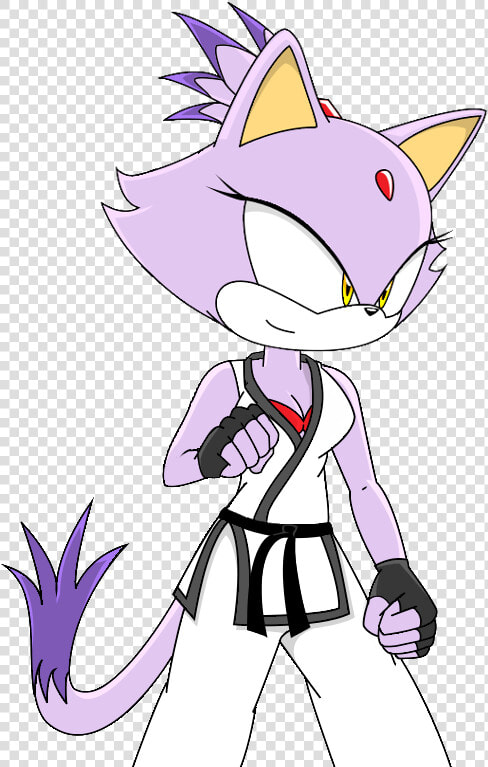 Tae Kwon Do Blaze The Cat Honfox   Blaze The Cat Karate  HD Png DownloadTransparent PNG