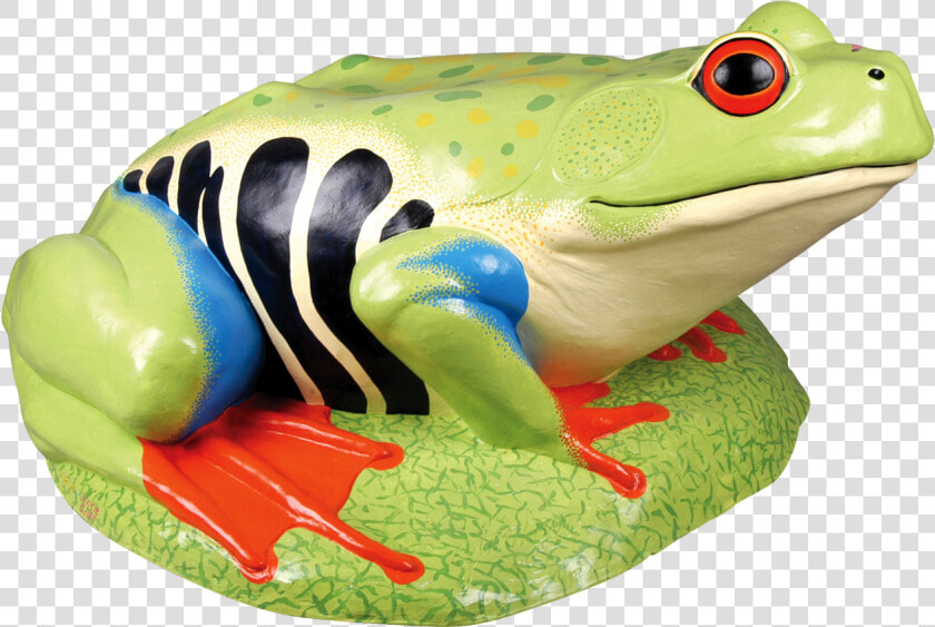 Transparent Tree Frog Png   Лягушка Gif Png  Png DownloadTransparent PNG