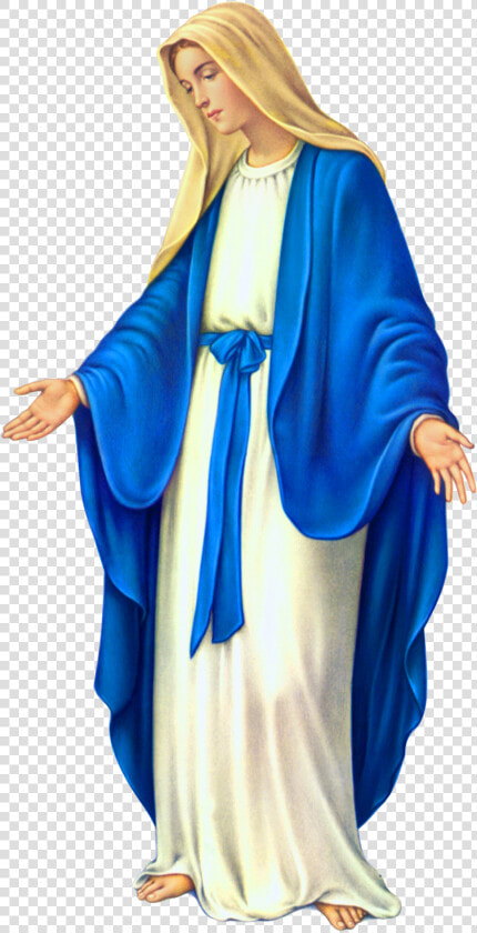 Virgen Maria Png   Immaculate Conception Png  Transparent PngTransparent PNG