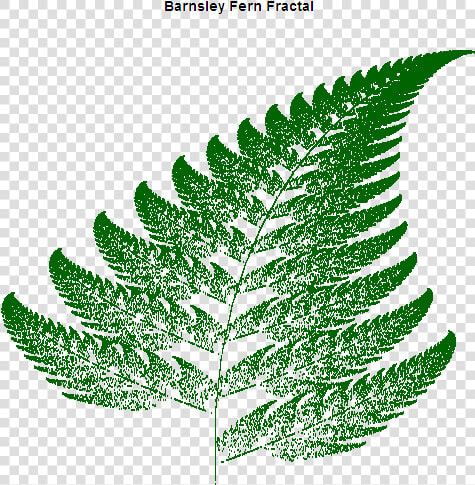 Barnsley Fern Fractal   Barnsley Fern C   HD Png DownloadTransparent PNG