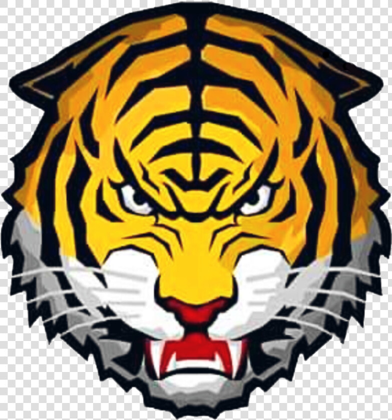 Tigre Png  Transparent PngTransparent PNG