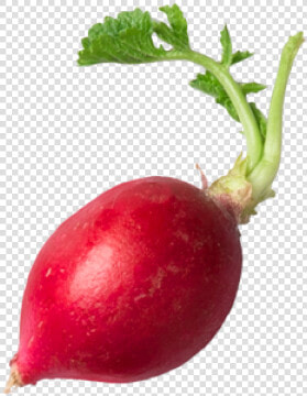 Radish natural   Beetroot  HD Png DownloadTransparent PNG