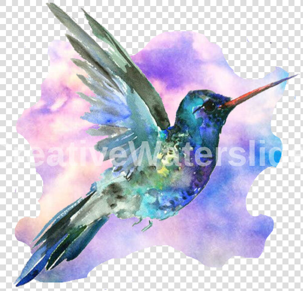 Ruby throated Hummingbird  HD Png DownloadTransparent PNG