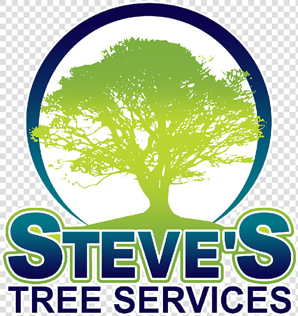 Steve S Tree Service   Oak Tree Silhouette  HD Png DownloadTransparent PNG