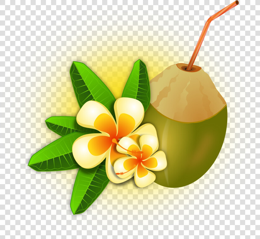 Cocktail  Coconut  Drink  Flower  Food  Fruit  Hawaii   Black Label Con Agua De Coco  HD Png DownloadTransparent PNG