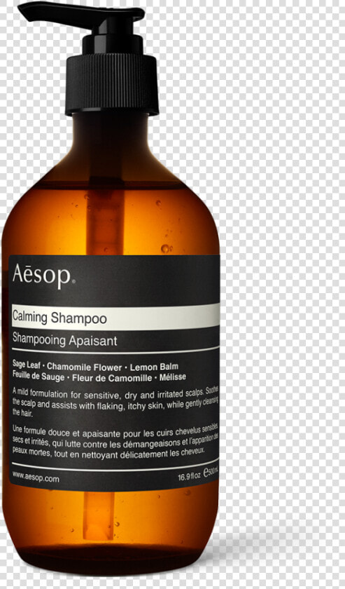 Aesop Equalising Shampoo  HD Png DownloadTransparent PNG