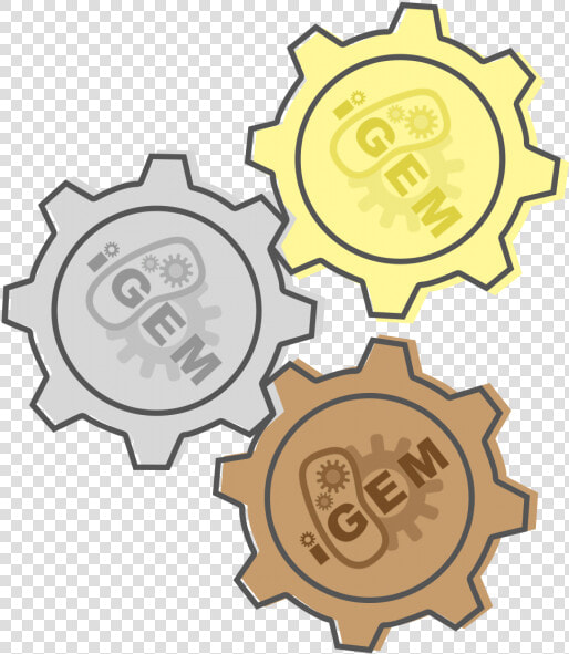 International Genetically Engineered Machine  HD Png DownloadTransparent PNG