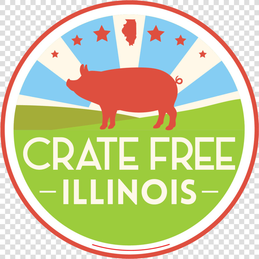 Volunteer Crate Free Illinois   Domestic Pig  HD Png DownloadTransparent PNG