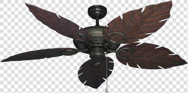 Tropical Dixie Belle Ceiling Fan With Light  HD Png DownloadTransparent PNG