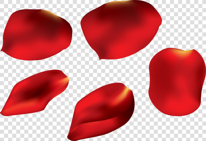 Rose Petals Flower Transparent Petal Png Download Free   Rose Petals Transparent Png  Png DownloadTransparent PNG