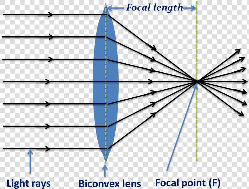 Biconvex Len  Converging Light Rays   Converging Rays  HD Png DownloadTransparent PNG