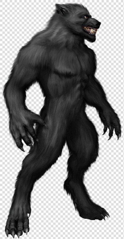 Werewolf Transparent  HD Png DownloadTransparent PNG