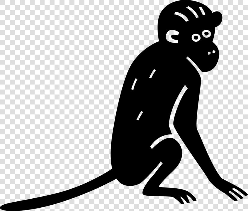 Vector Illustration Of Primate Monkey Ape   猴子 香蕉  HD Png DownloadTransparent PNG