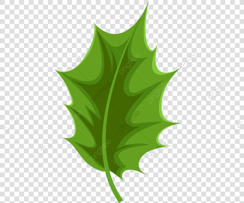 Holly Leaf Commercial Use Resource Upgrade To Premium   Holly Leaves Vector  HD Png DownloadTransparent PNG