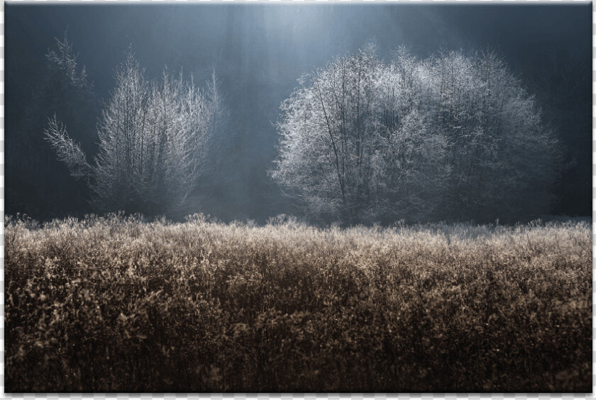 Mystical   Frost  HD Png DownloadTransparent PNG