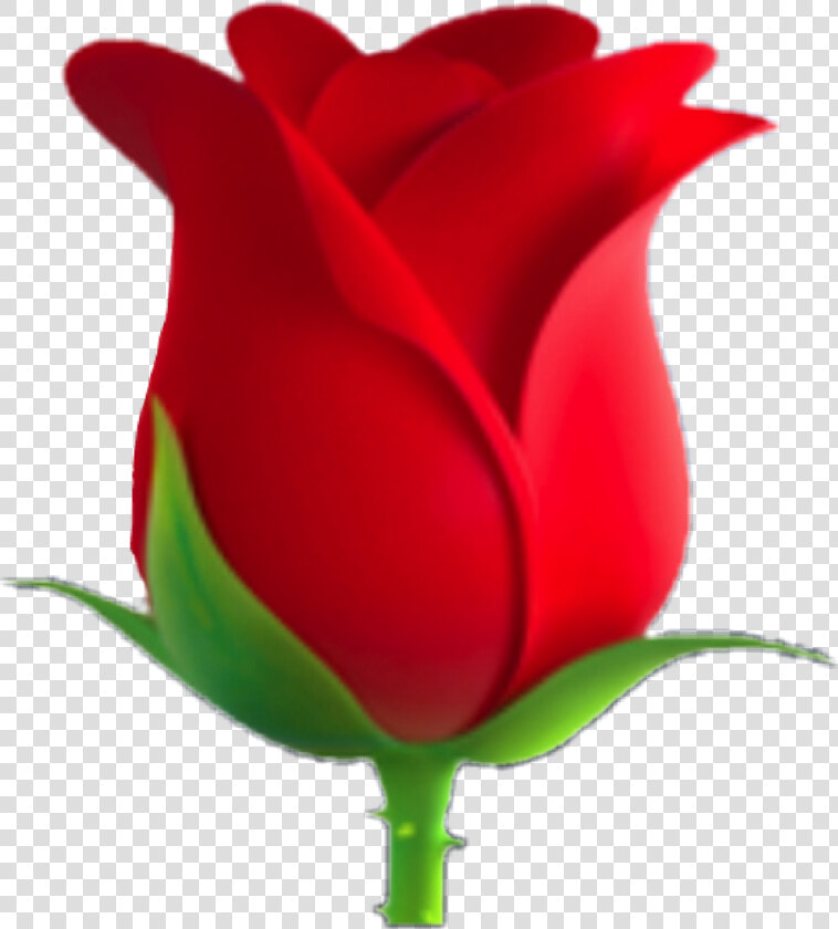 Rose Clipart Emoji   Rose Flower Emoji Transparent  HD Png DownloadTransparent PNG