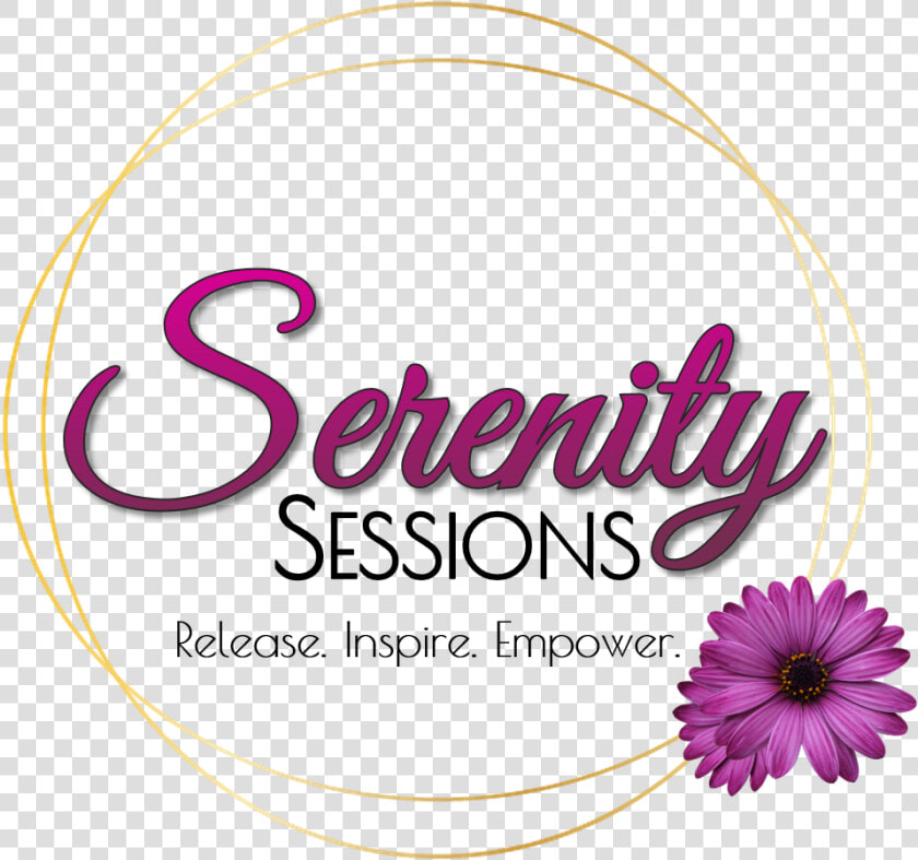 Serenity Sessions Horn Of Salvation Ministries Inc   African Daisy  HD Png DownloadTransparent PNG