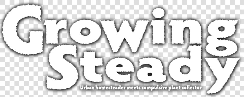 Growing Steady  HD Png DownloadTransparent PNG