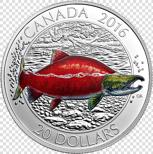 Canadian Mint Turtle Quarter  HD Png DownloadTransparent PNG