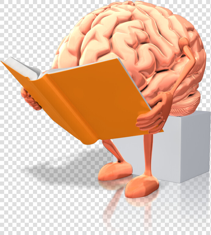 Transparent Thinking Brain Clipart   Brain Reading A Book  HD Png DownloadTransparent PNG