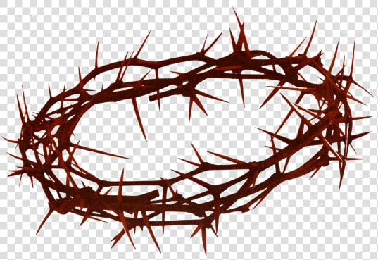 Thorns Crown Png Clipart   Crown Of Thorns Transparent Background  Png DownloadTransparent PNG