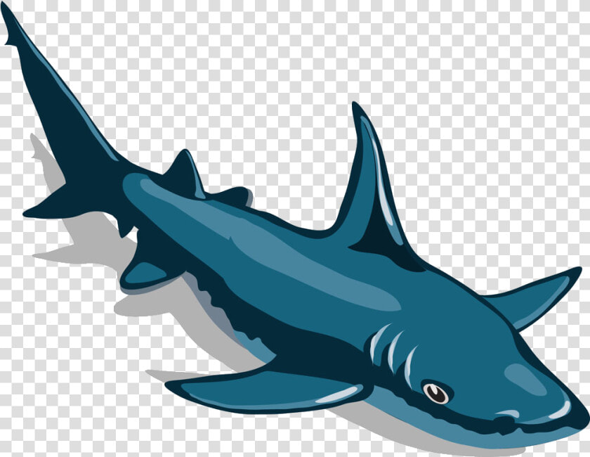 Clip Art Shark Hammerhead   Big Shark Pnj  HD Png DownloadTransparent PNG