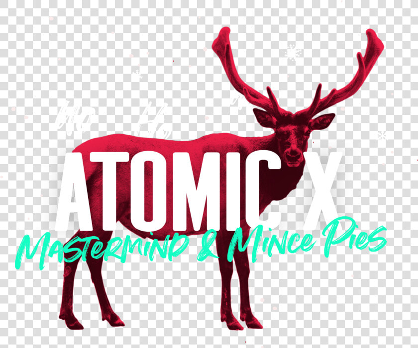 Reindeer header2   Reindeer  HD Png DownloadTransparent PNG